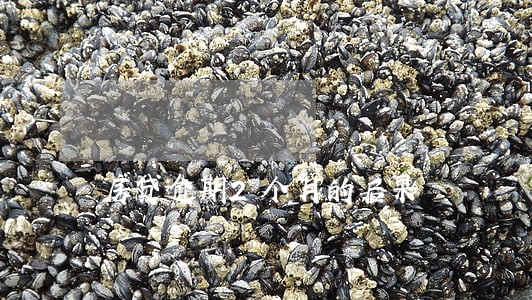 房贷逾期2个月的后果 房贷逾期2个月的后果