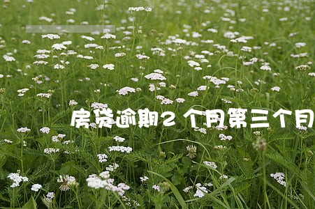 房贷逾期2个月第三个月还多少 房贷逾期2个月第三个月还多少