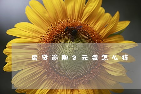 房贷逾期2元会怎么样 房贷逾期2元会怎么样