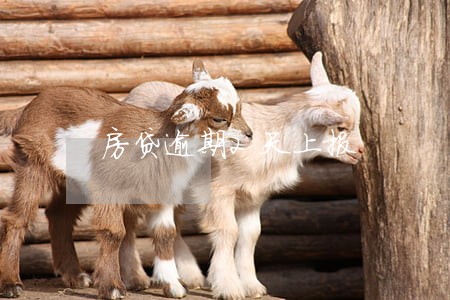 房贷逾期2天上报 房贷逾期2天上报