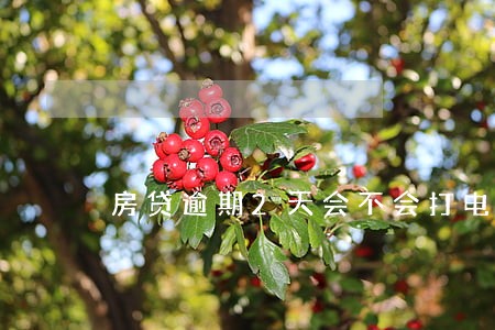 房贷逾期2天会不会打电话 房贷逾期2天会不会打电话