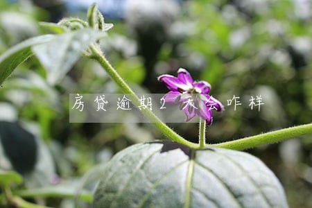 房贷逾期2天会咋样 房贷逾期2天会咋样