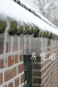 房贷逾期2天会影响贷款买车吗 房贷逾期2天会影响贷款买车吗