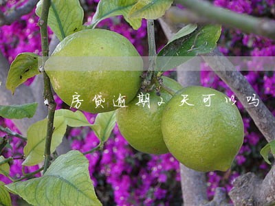 房贷逾期2天可以吗