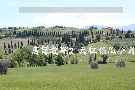 房贷逾期2天征信几个月更新 房贷逾期2天征信几个月更新