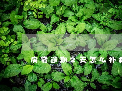 房贷逾期2天怎么补救 房贷逾期2天怎么补救