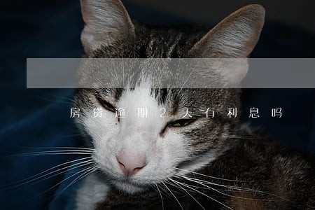 房贷逾期2天有利息吗 房贷逾期2天有利息吗