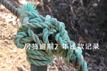 房贷逾期2年还款记录 房贷逾期2年还款记录