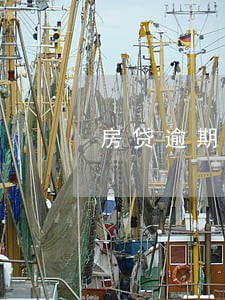 房贷逾期2月已还 房贷逾期2月已还