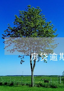 房贷逾期2次上黑名单吗 房贷逾期2次上黑名单吗