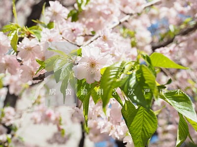 房贷逾期2次严重不 房贷逾期2次严重不
