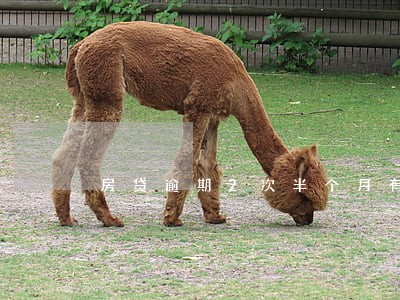 房贷逾期2次半个月有什么影响 房贷逾期2次半个月有什么影响