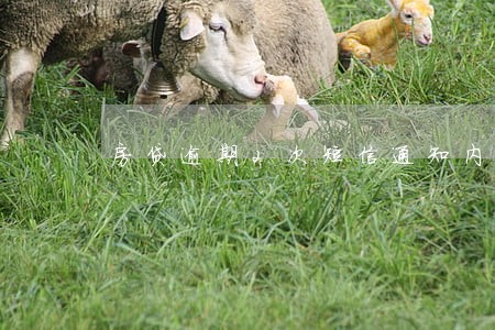 房贷逾期2次短信通知内容