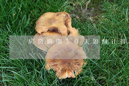 房贷逾期30天如何计算 房贷逾期30天如何计算
