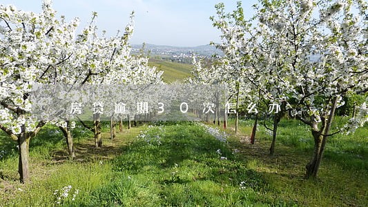 房贷逾期30次怎么办 房贷逾期30次怎么办