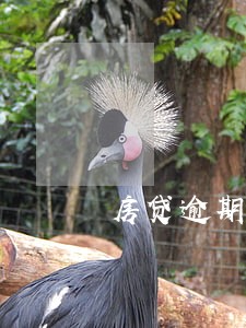 房贷逾期30次的影响大吗 房贷逾期30次的影响大吗