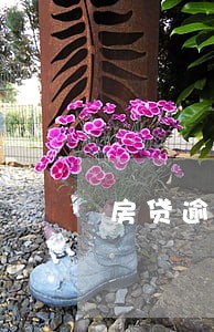房贷逾期31号还会划扣吗 房贷逾期31号还会划扣吗