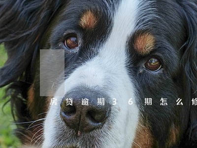 房贷逾期36期怎么修复 房贷逾期36期怎么修复