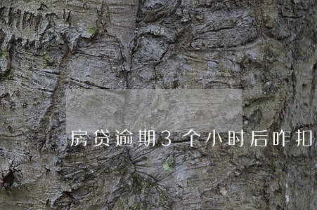 房贷逾期3个小时后咋扣款 房贷逾期3个小时后咋扣款