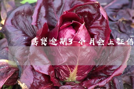 房贷逾期3个月会上征信吗 房贷逾期3个月会上征信吗