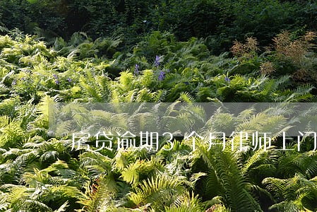 房贷逾期3个月律师上门 房贷逾期3个月律师上门