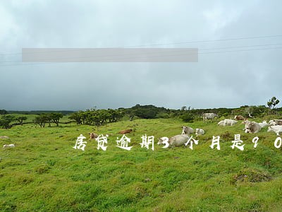 房贷逾期3个月是90天 房贷逾期3个月是90天