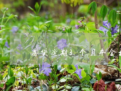 房贷逾期3个月本金和利息账 房贷逾期3个月本金和利息账