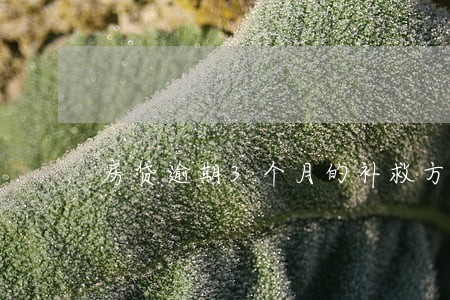 房贷逾期3个月的补救方法 房贷逾期3个月的补救方法