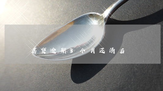 房贷逾期3个月还清后 房贷逾期3个月还清后