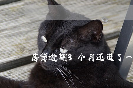 房贷逾期3个月还进了一个月 房贷逾期3个月还进了一个月
