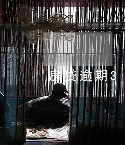 房贷逾期3天会打电话吗