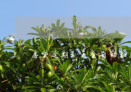 房贷逾期3天会自动扣款吗 房贷逾期3天会自动扣款吗