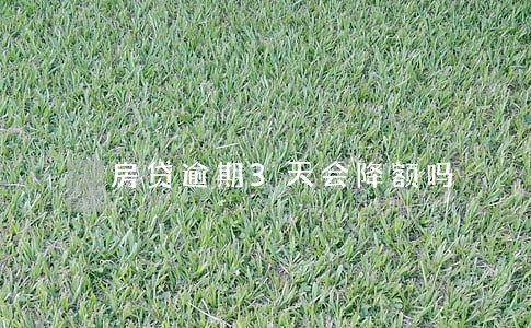 房贷逾期3天会降额吗 房贷逾期3天会降额吗