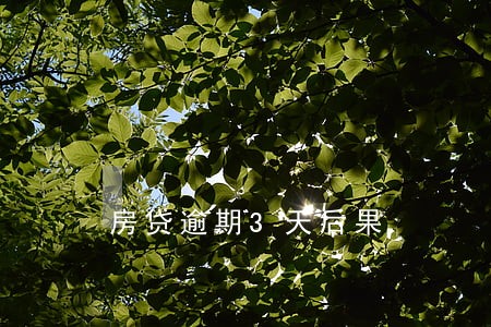 房贷逾期3天后果 房贷逾期3天后果