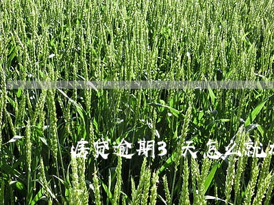房贷逾期3天怎么就加利息了 房贷逾期3天怎么就加利息了