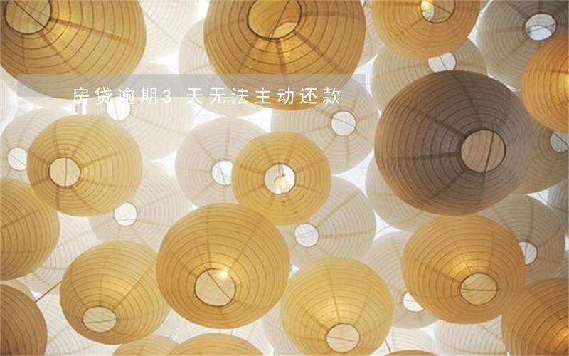 房贷逾期3天无法主动还款 房贷逾期3天无法主动还款