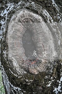 房贷逾期3天的后果 房贷逾期3天的后果