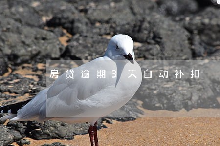房贷逾期3天自动补扣 房贷逾期3天自动补扣