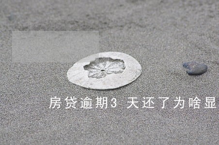 房贷逾期3天还了为啥显示没还 房贷逾期3天还了为啥显示没还