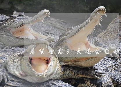 房贷逾期3天还会自动扣款吗 房贷逾期3天还会自动扣款吗