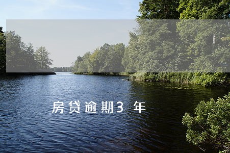 房贷逾期3年