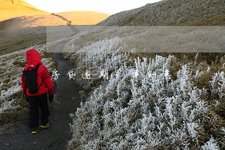房贷逾期3年利息 房贷逾期3年利息