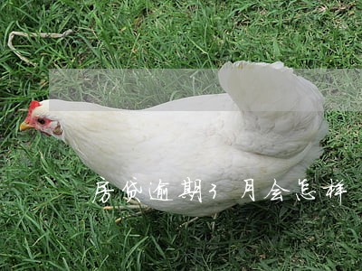 房贷逾期3月会怎样 房贷逾期3月会怎样