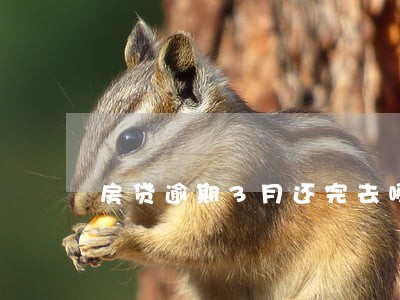 房贷逾期3月还完去哪里开证明 房贷逾期3月还完去哪里开证明