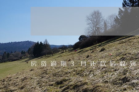 房贷逾期3月还款后收到律师函 房贷逾期3月还款后收到律师函