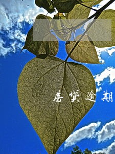 房贷逾期3次每次都是一天 房贷逾期3次每次都是一天