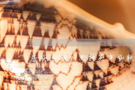 房贷逾期3次能买车贷款吗 房贷逾期3次能买车贷款吗