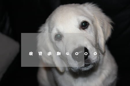 房贷逾期4000 房贷逾期4000