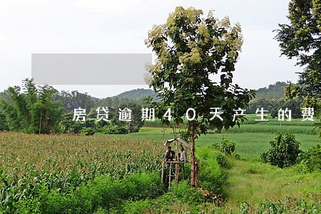 房贷逾期40天产生的费用 房贷逾期40天产生的费用