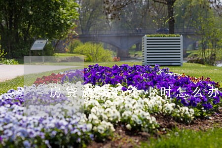 房贷逾期4个小时怎么办 房贷逾期4个小时怎么办